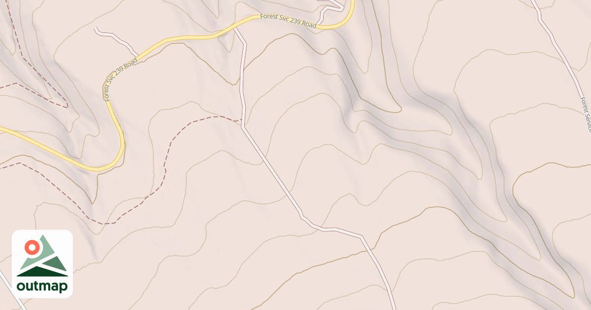 Map of USFS National Forest System Roads {A25A34EC-A583-4D9A-92B3-561A4CC69604}