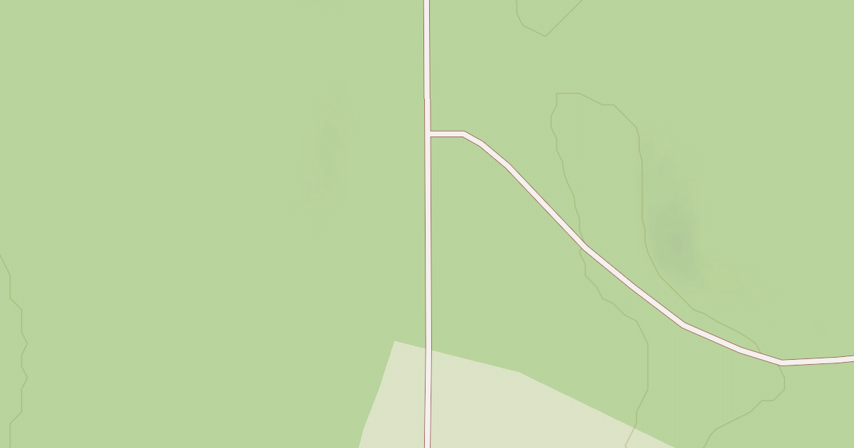 Map preview of South Loop