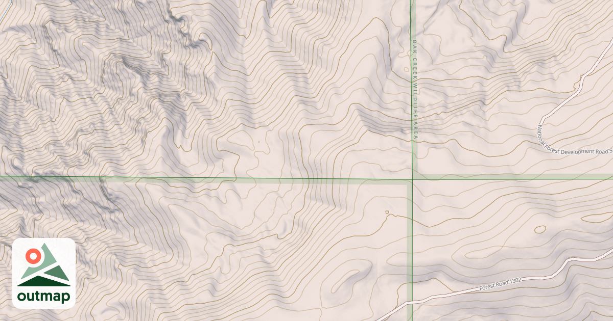 Map of USFS National Forest System Roads {DD974D4E-E68A-4370-9555-37719C2E1149}