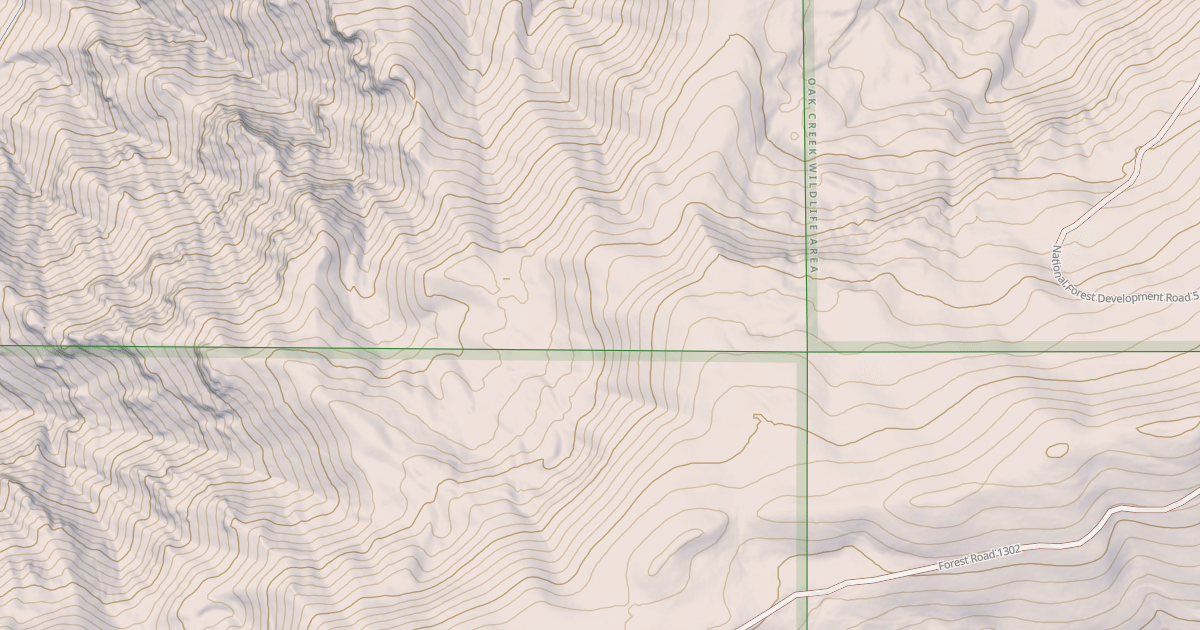 Map preview of USFS National Forest System Roads {DD974D4E-E68A-4370-9555-37719C2E1149}