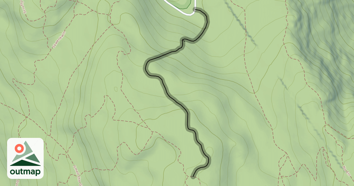 Map of Freak Boy