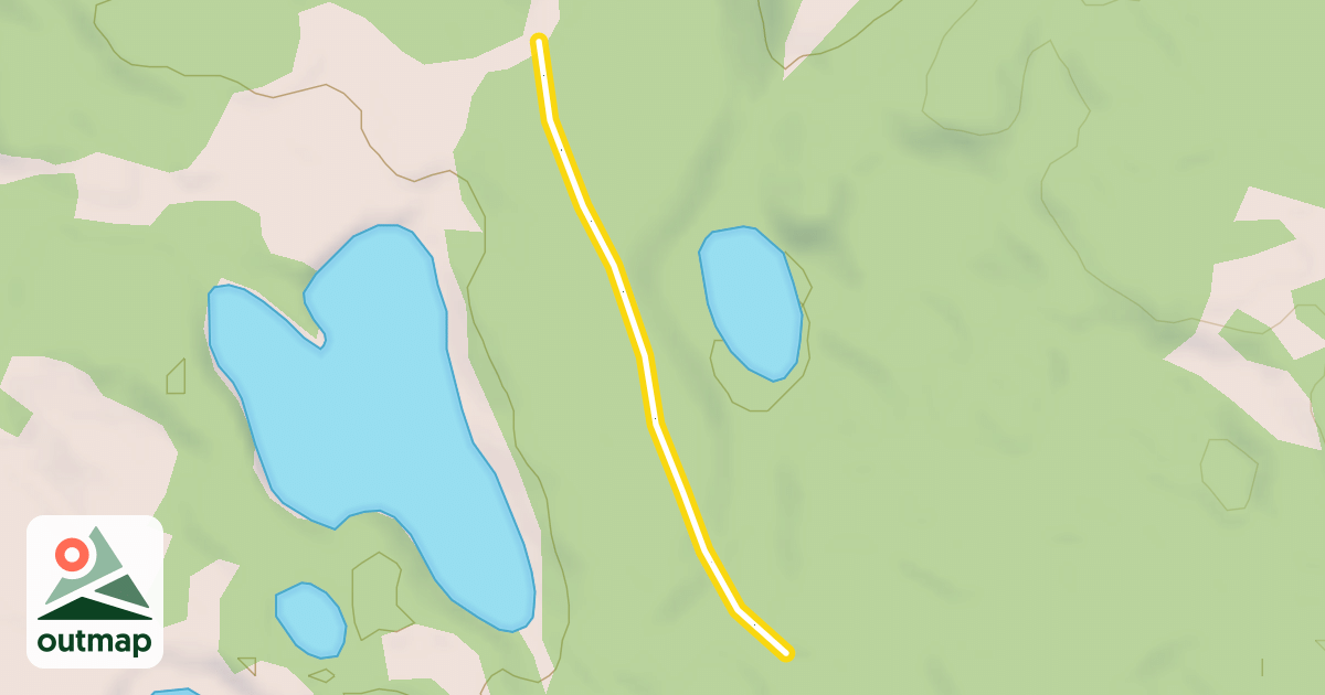 Map of Lions