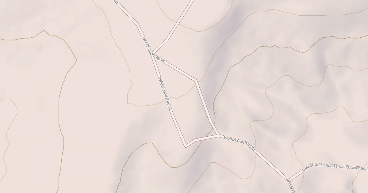 Map preview of BLM National GTLF Public Motorized Roads 59c84c96-0d2a-469f-bc62-39cfe55f1862