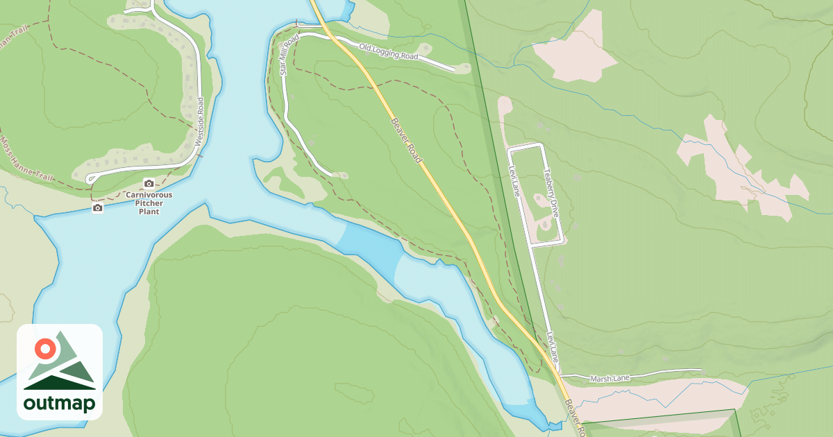 Map of Black Moshannon State Park Trails