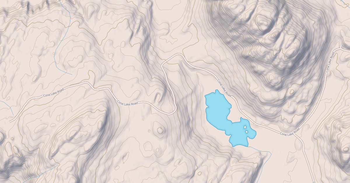 Map preview of CONE LAKE