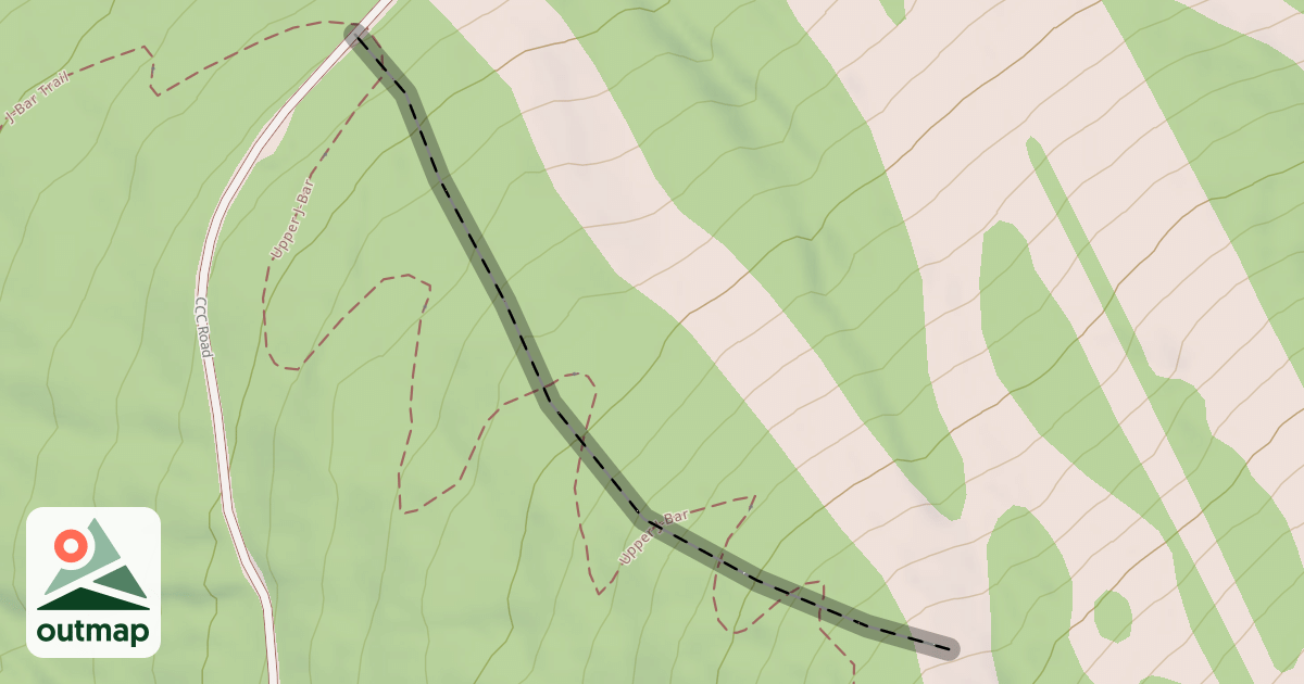 Map of Birches