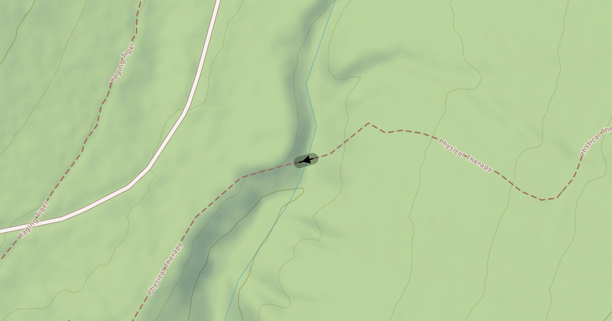 Map preview of Physical Therapy