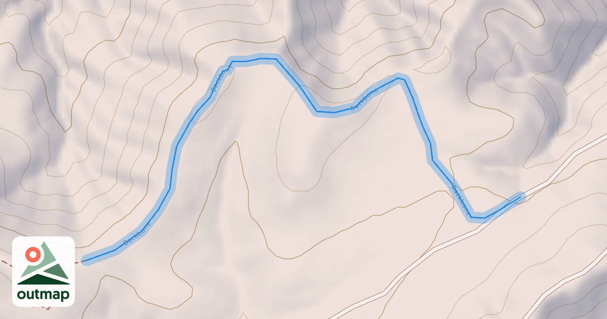 Map of Backbone