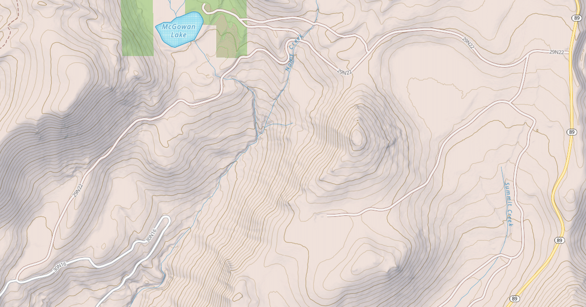 Map preview of MCGOWAN LAKE
