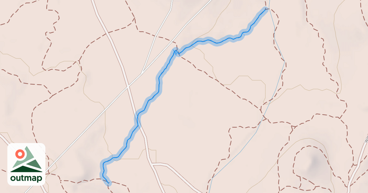 Map of The Tingler