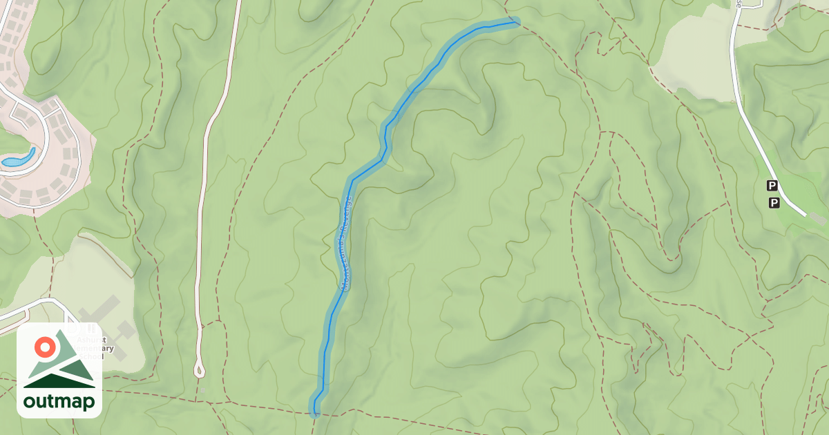 Map of Montezuma's Revenge