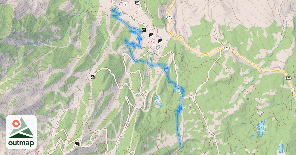 Map of Needles