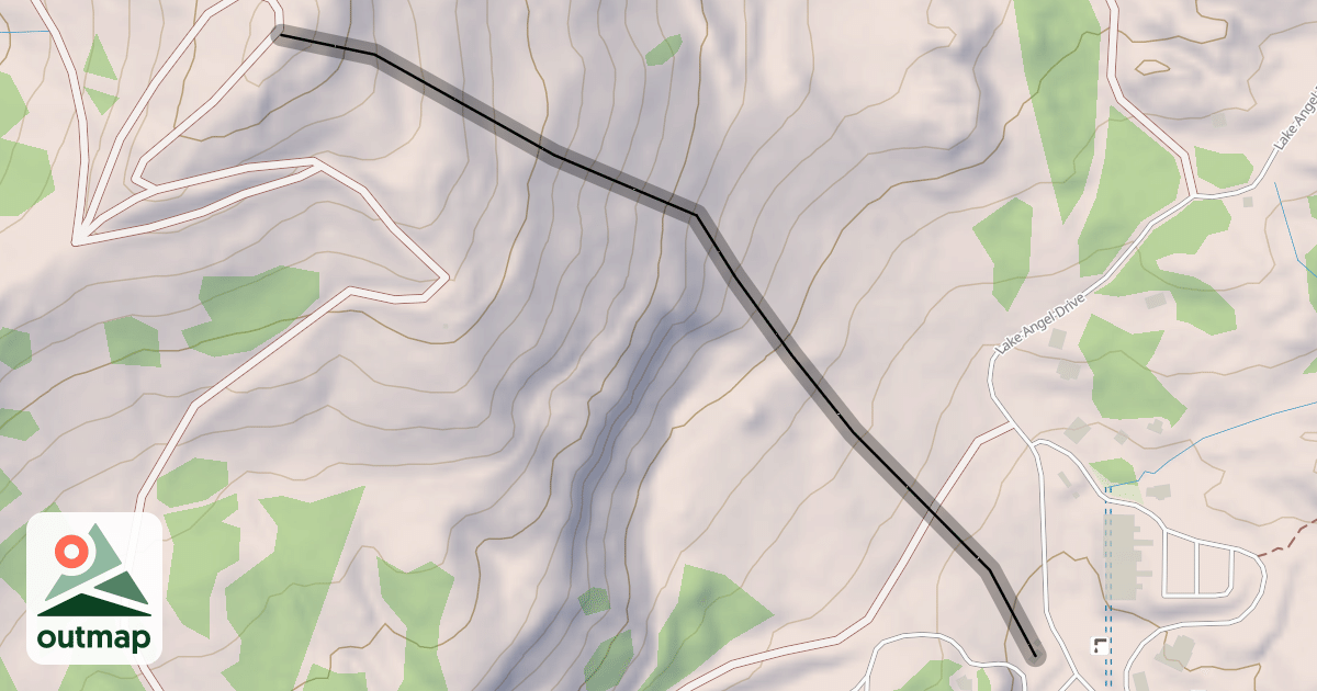 Map of The Face