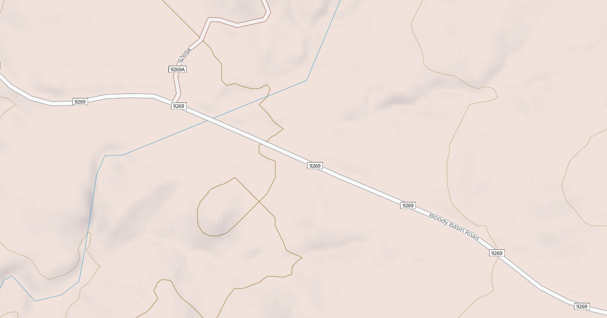 Map preview of BLM National GTLF Public Motorized Roads 24a7cb28-c84e-465f-892e-2e15a59bd7e8