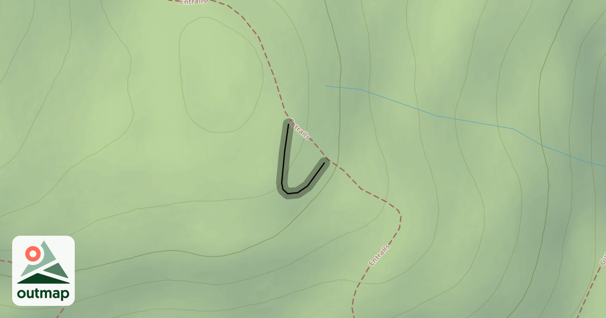Map of Entrails