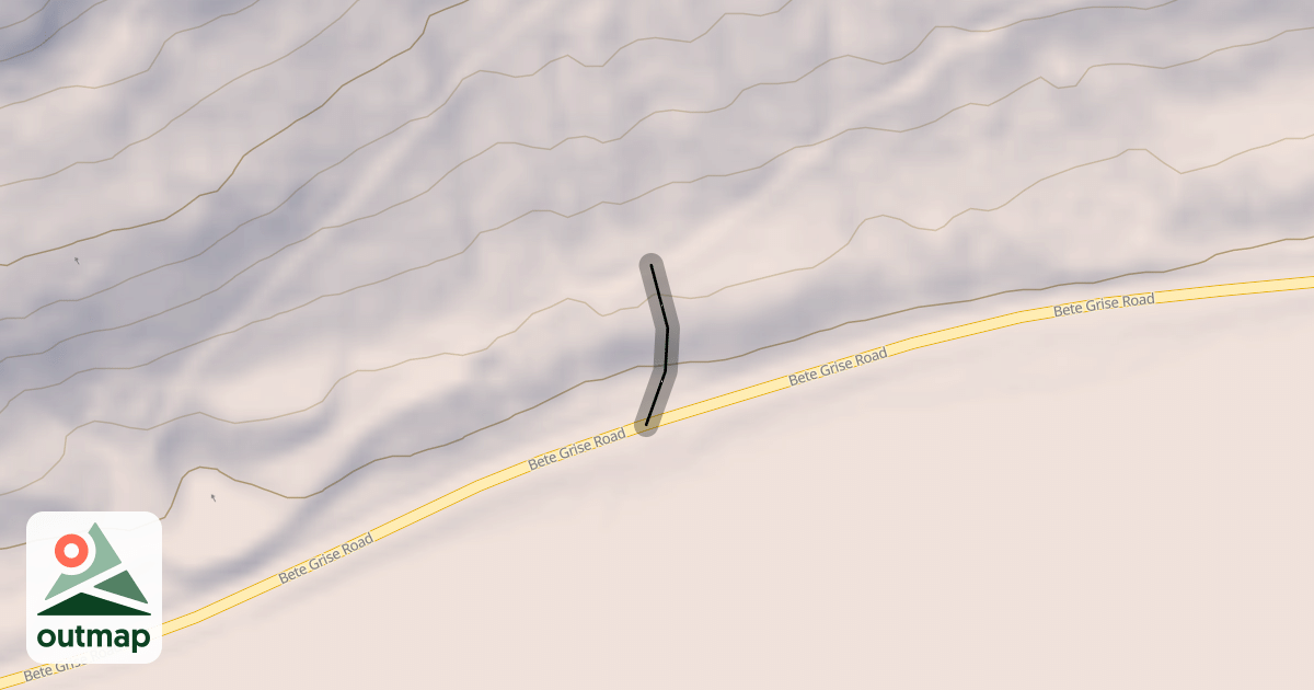 Map of Tiny Bear