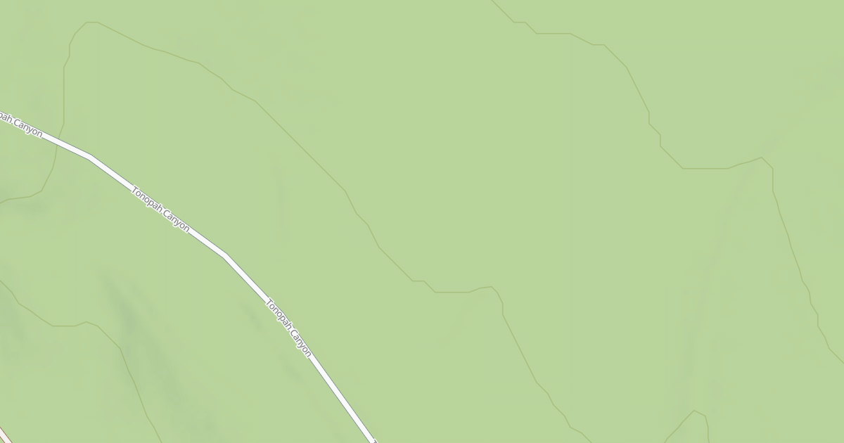 Map preview of BLM National GTLF Public Motorized Roads 1500a501-3d17-4144-a65a-e6b86aa16ea8