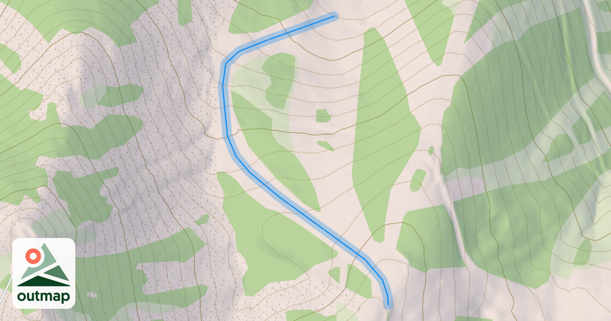 Map of Gold