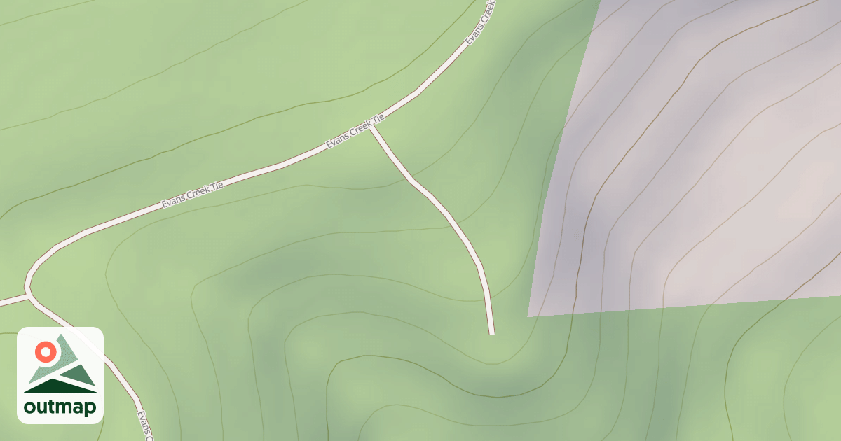 Map of SNOWSHOE T.S.