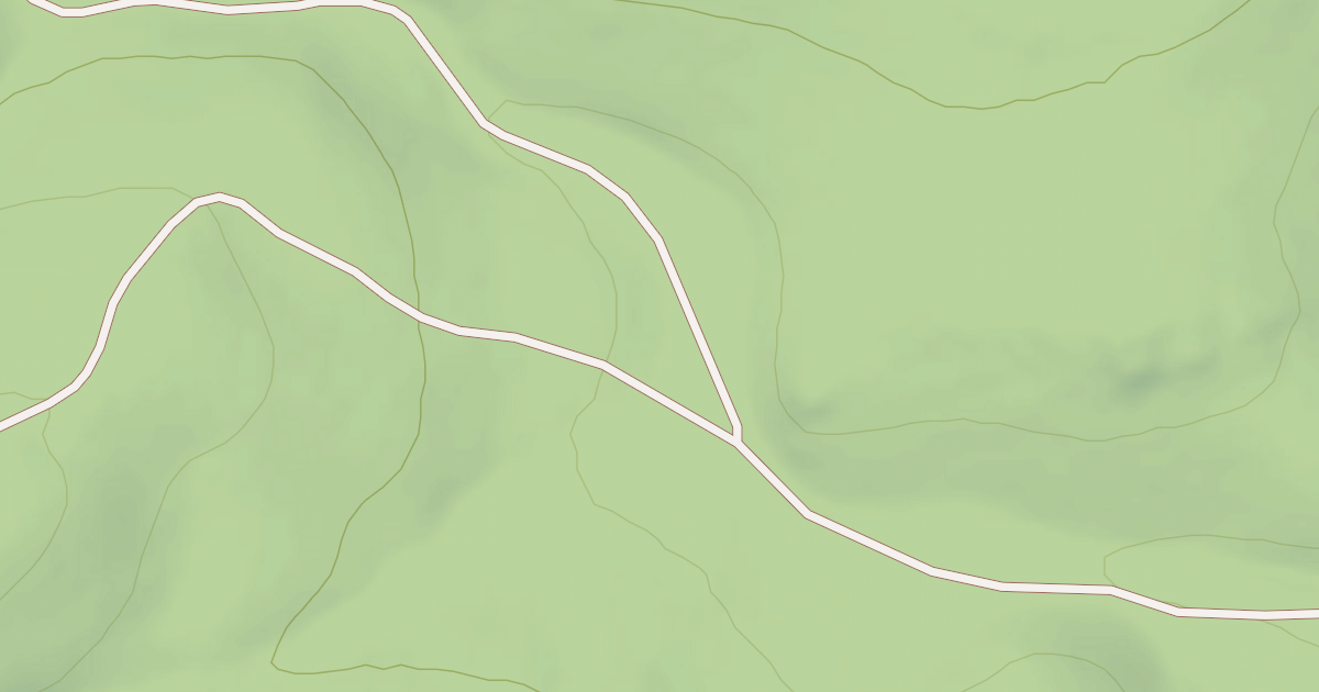 Map preview of USFS Motor Vehicle Use Map Roads {D8DCFA3E-247B-4403-A1BC-BA014FEFFD5F}