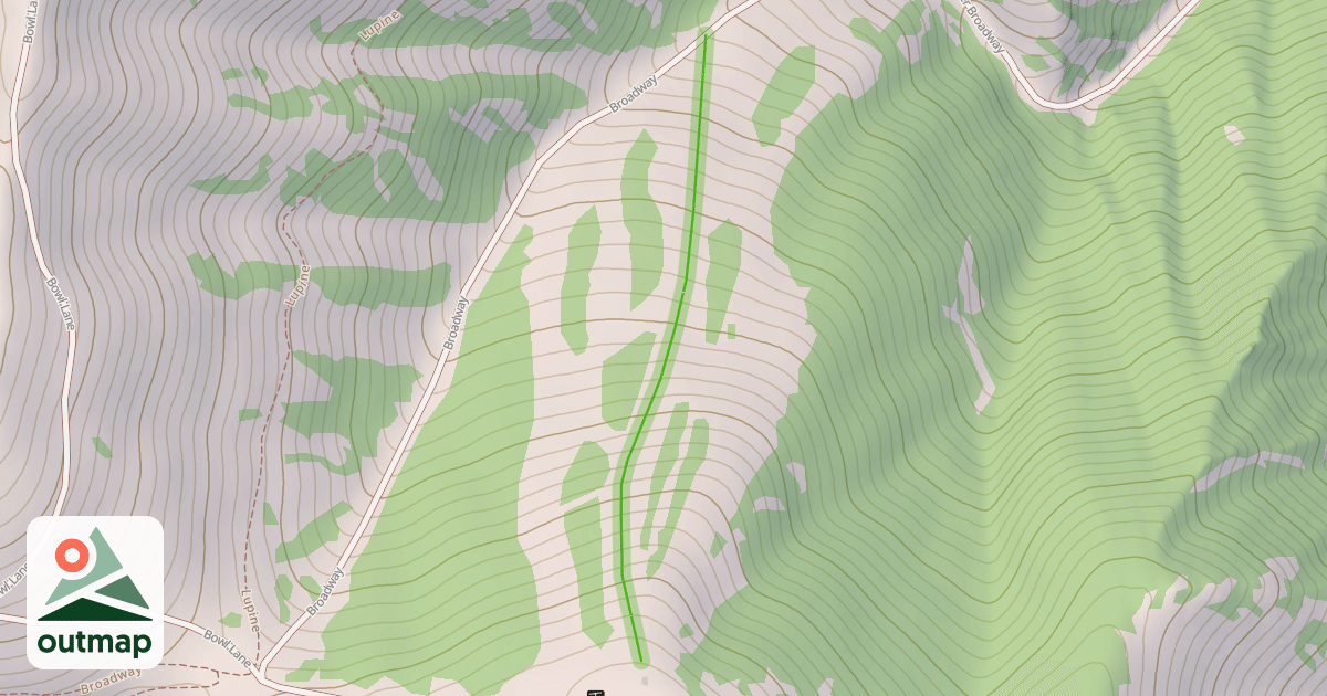 Map of Muffy's Medals