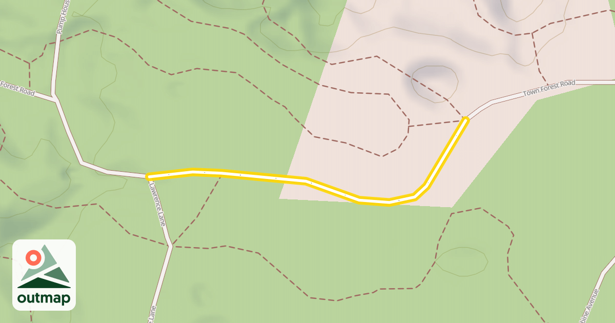 Map of Town Forest Road