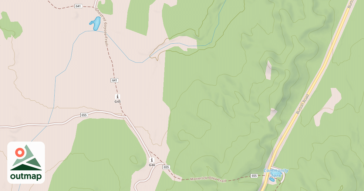 Map of USFS National Forest System Roads {4C5B7A6C-0457-45F4-93D9-794C6F8465EC}