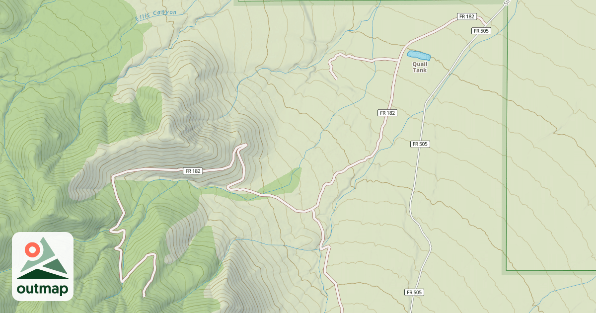 Map of USFS National Forest System Roads {25233F16-238F-470D-B0A9-384454E0C5AA}