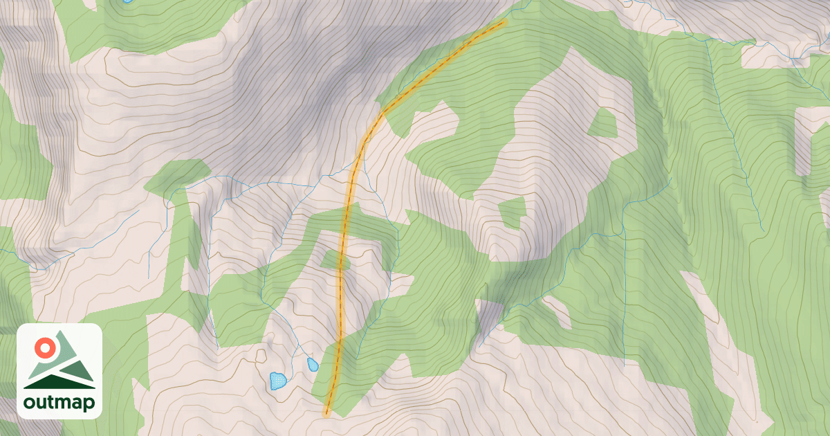 Map of Cabin Bowl