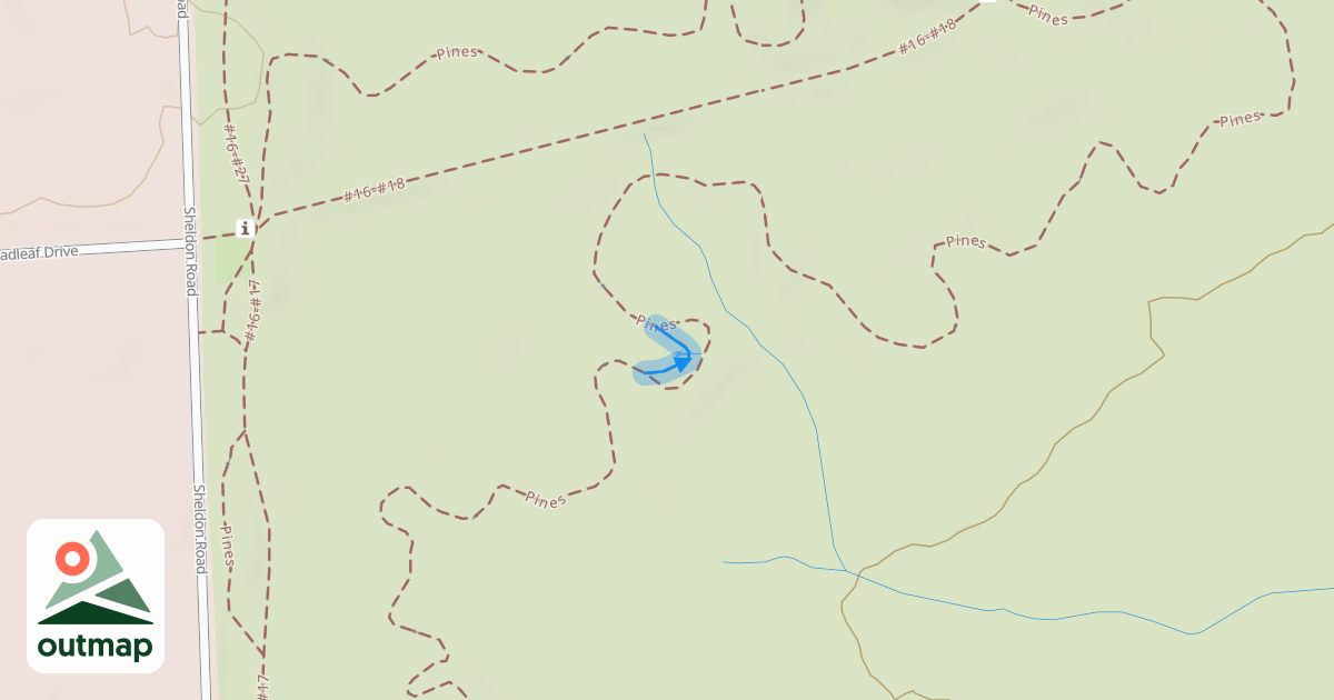Map of Pines (Rock Garden)