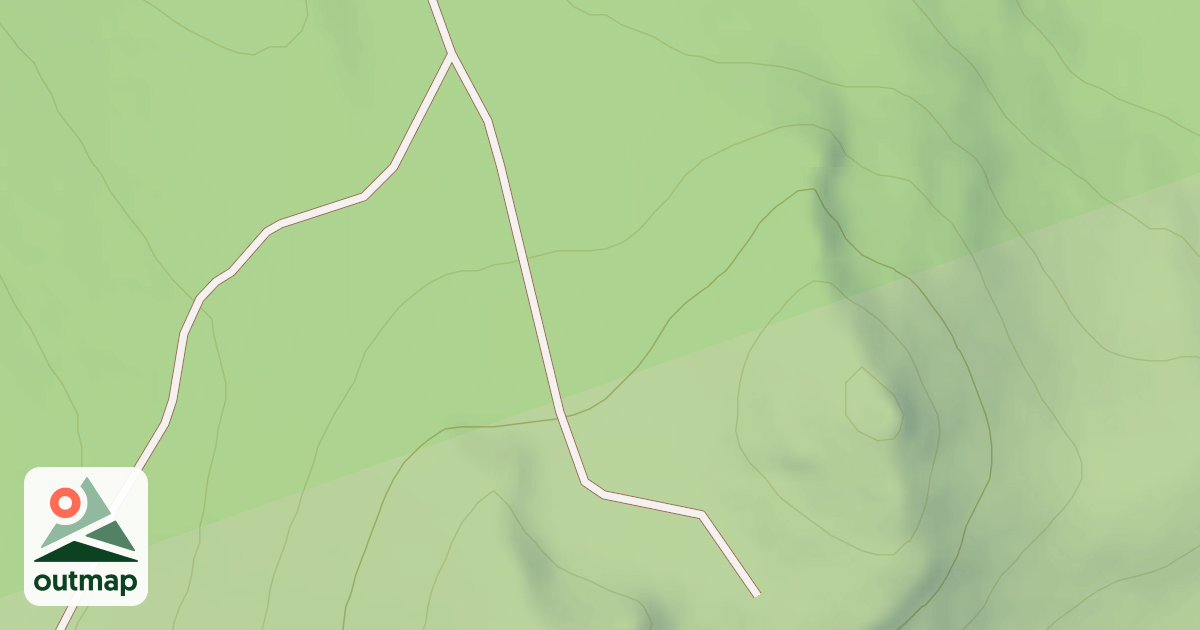 Map of USFS National Forest System Roads {4EFEBBCE-64D6-4FE9-AAFB-009706A1D971}