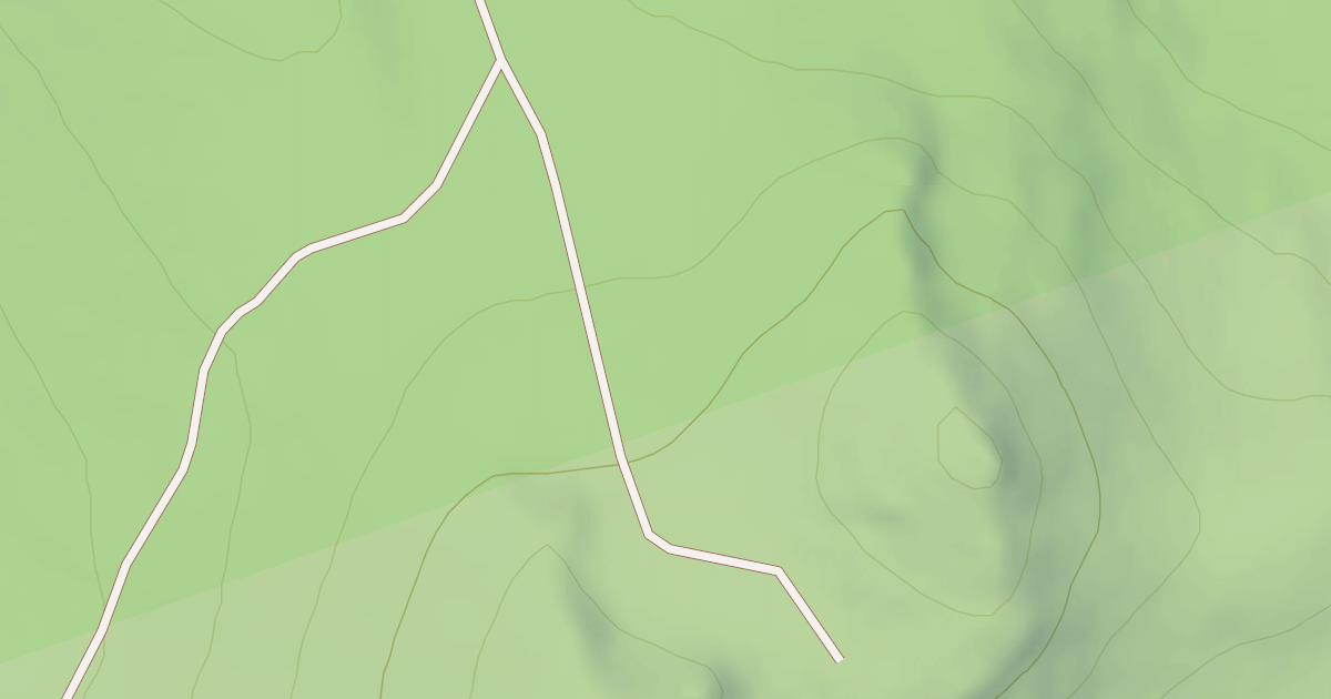 Map preview of USFS National Forest System Roads {4EFEBBCE-64D6-4FE9-AAFB-009706A1D971}