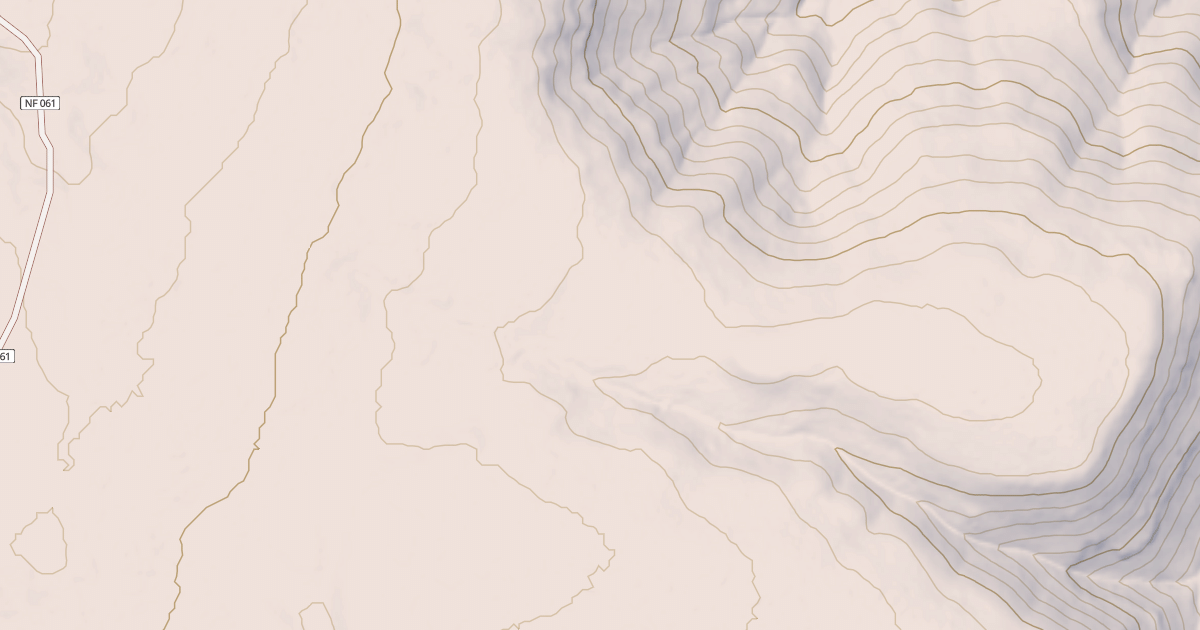 Map preview of USFS National Forest System Roads {FD12CE72-1C79-48CD-802E-74749C0B4808}