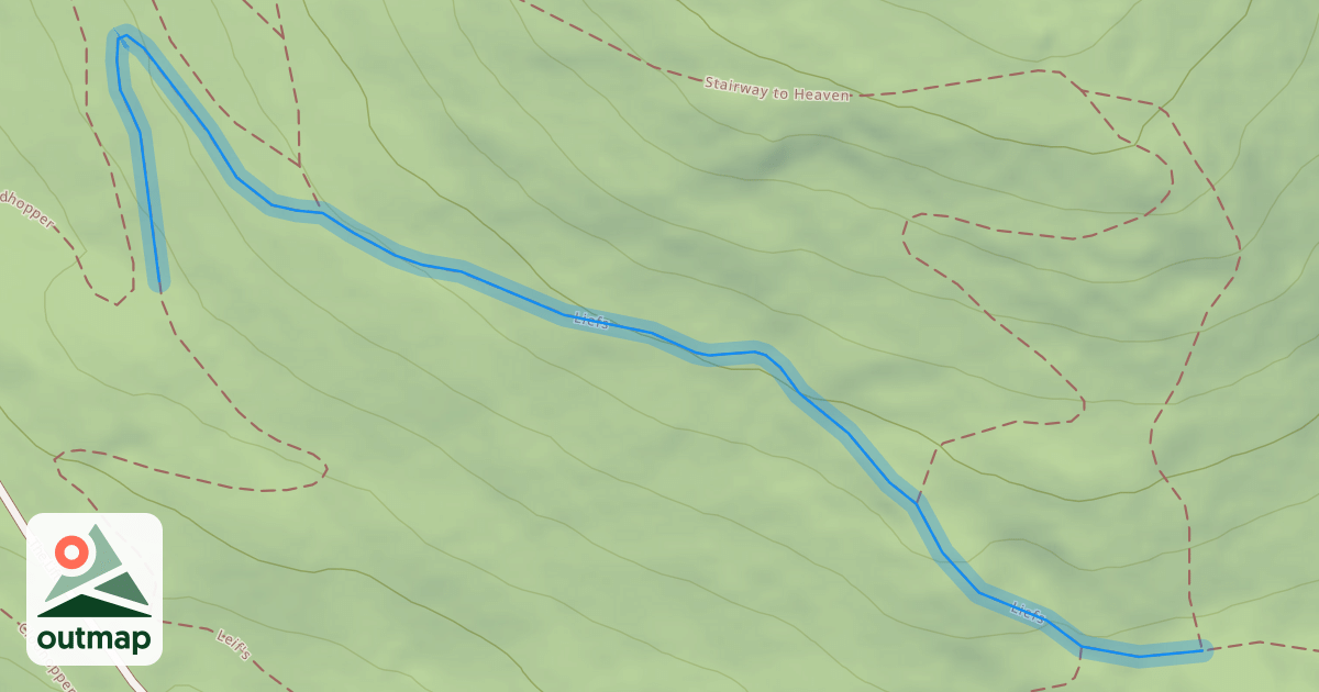 Map of Liefs