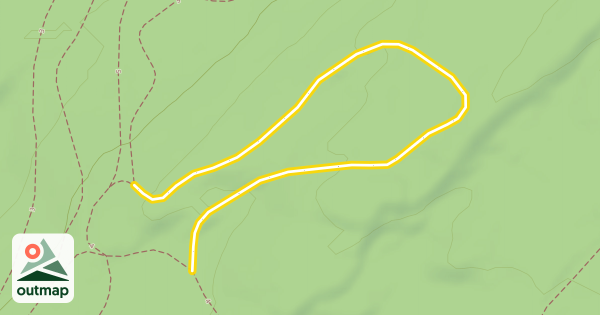 Map of 4