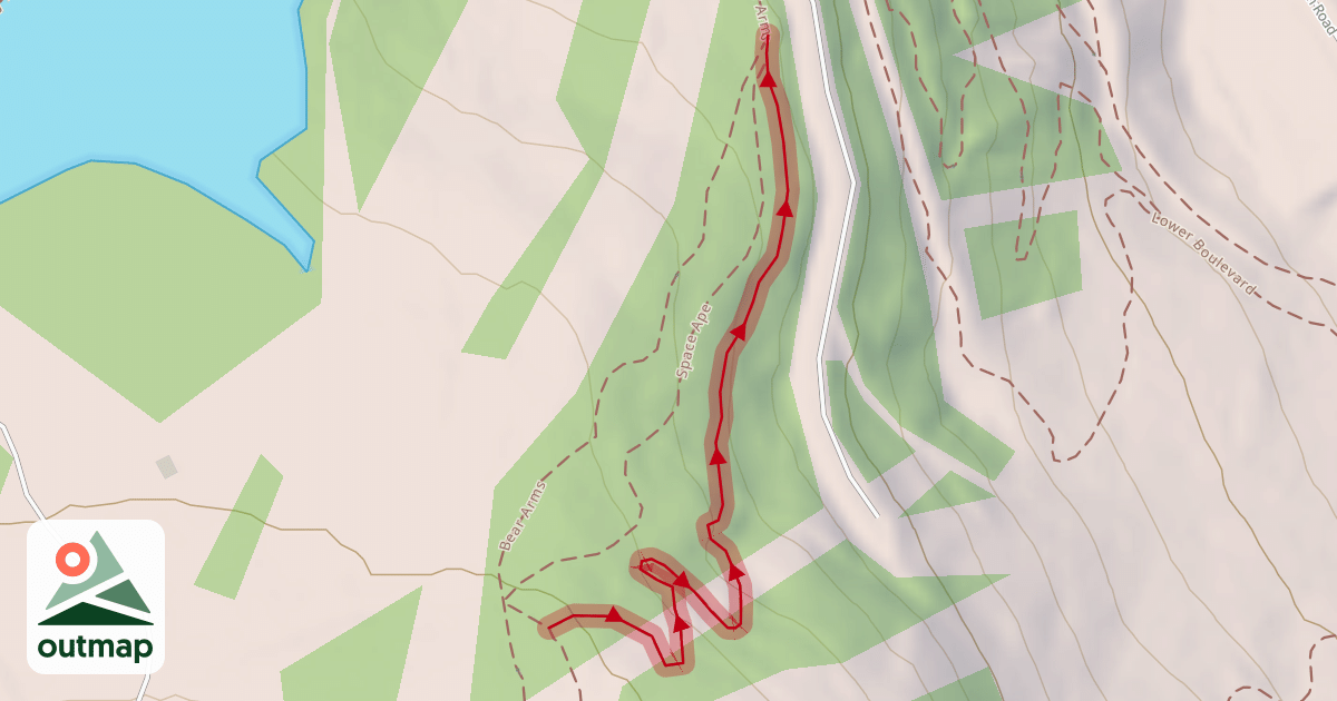 Map of Banana Peel