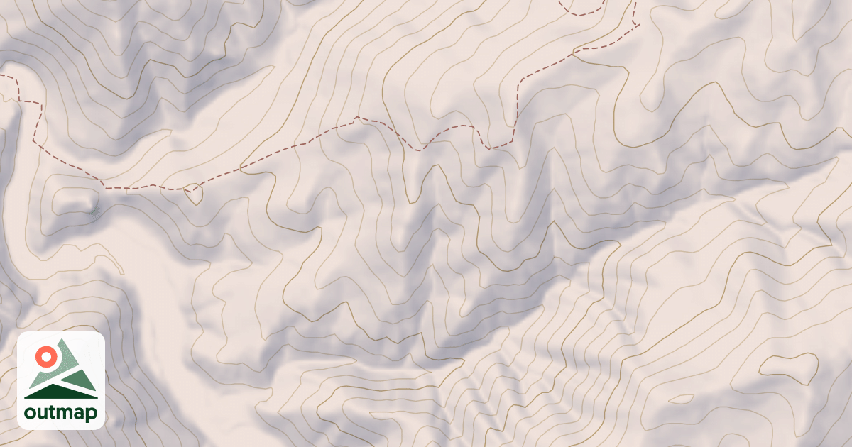 Map of DANSKIN #409