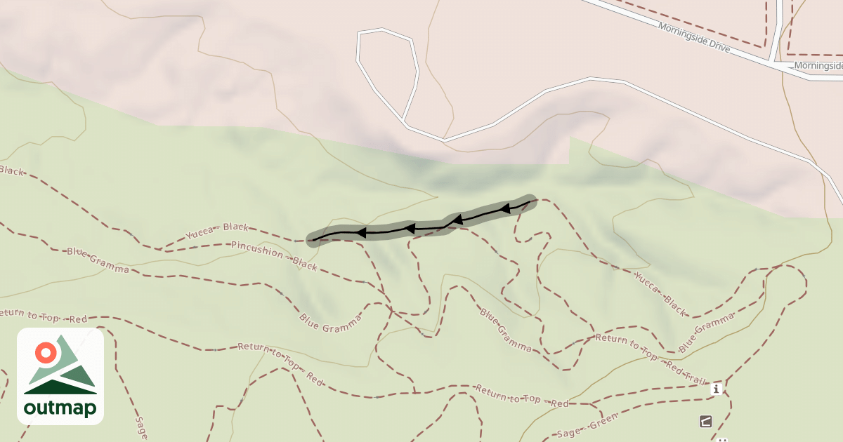 Map of Prickly Pear - Black