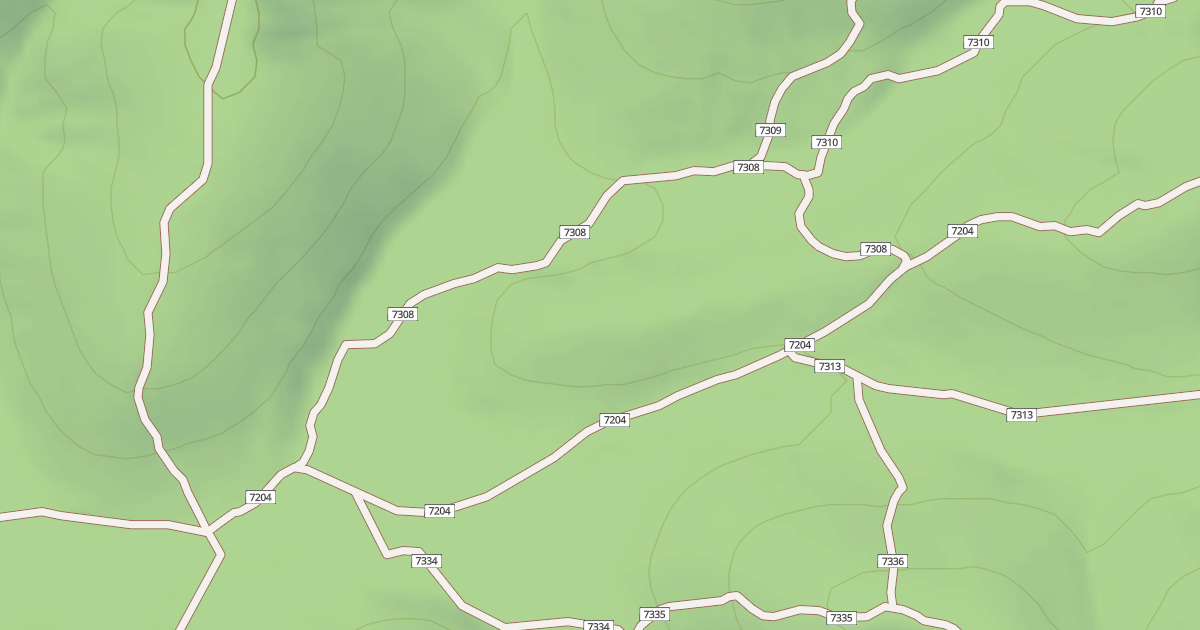 Map preview of USFS Motor Vehicle Use Map Trails 19031
