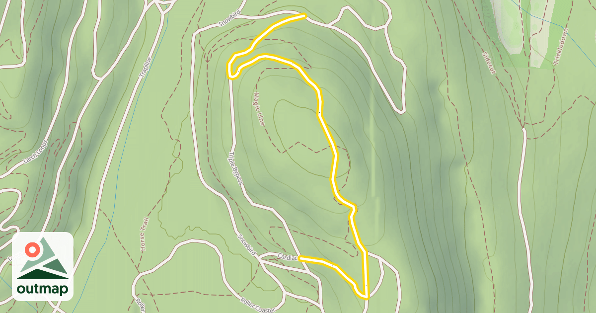 Map of Cardiac Arrest