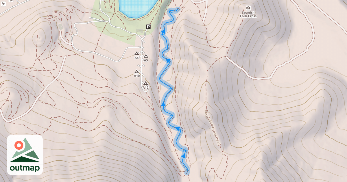 Map of Canyon Run Downhill Trail