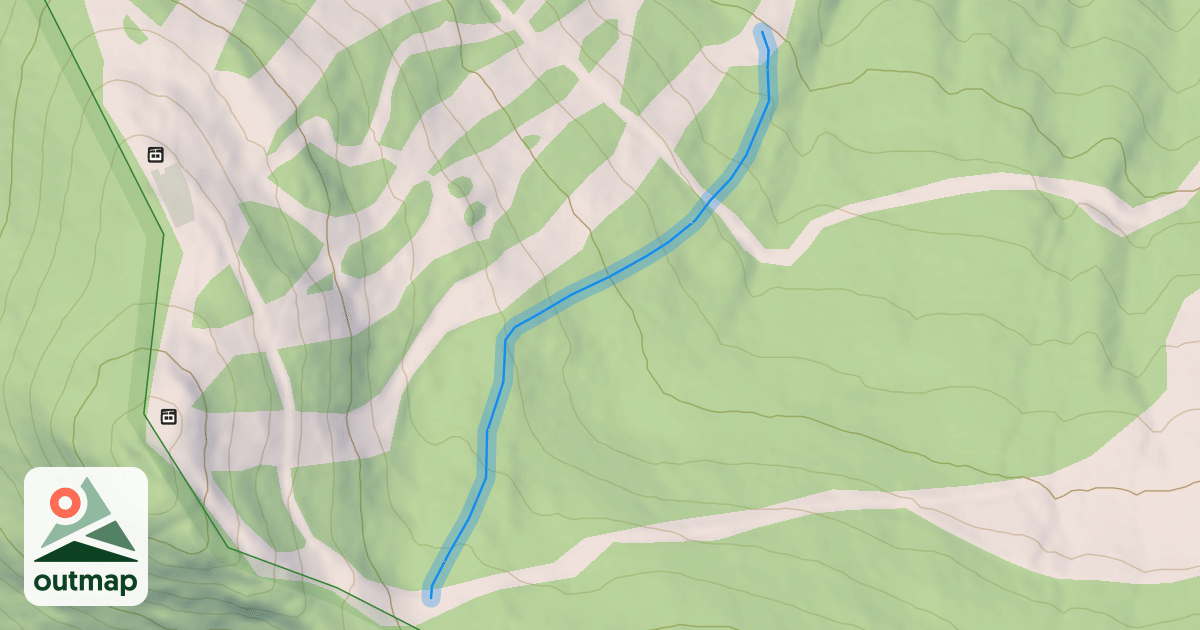 Map of Black forest Glade