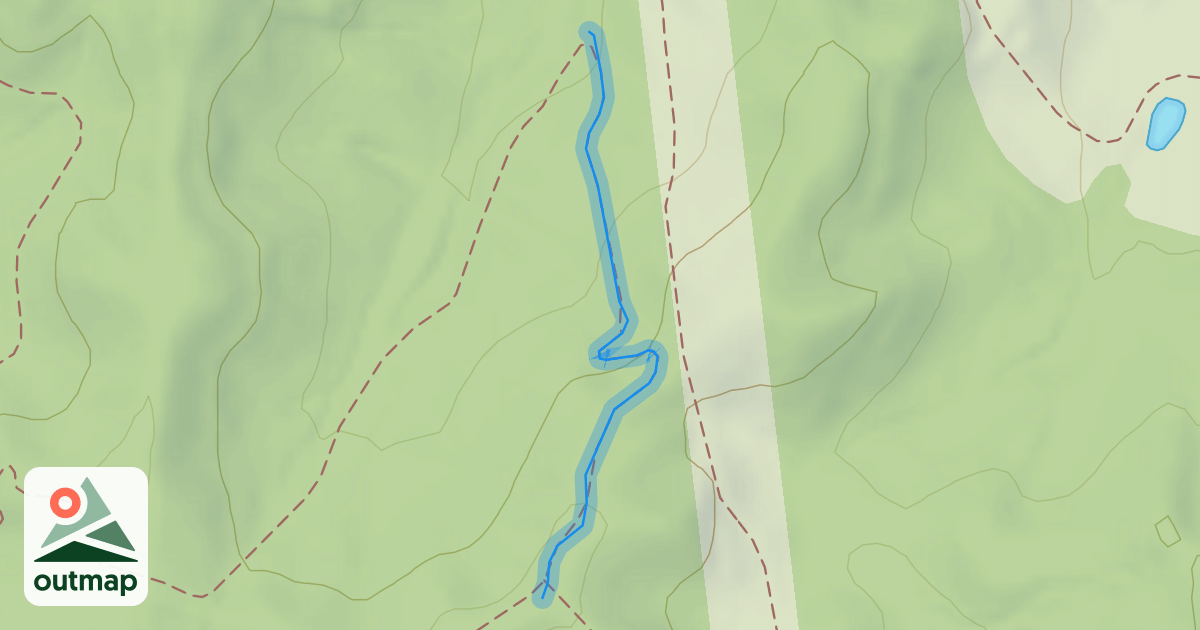 Map of Butterfly