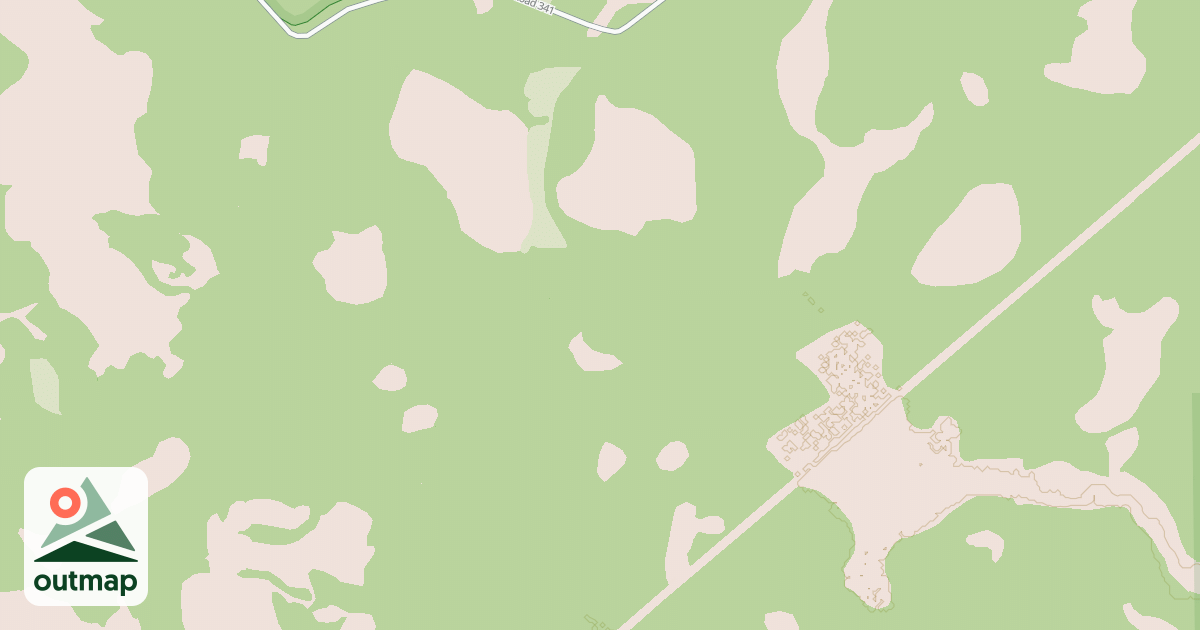 Map of USFS National Forest System Roads {74B61B66-2E96-4A71-BF65-6856FCA7FC69}