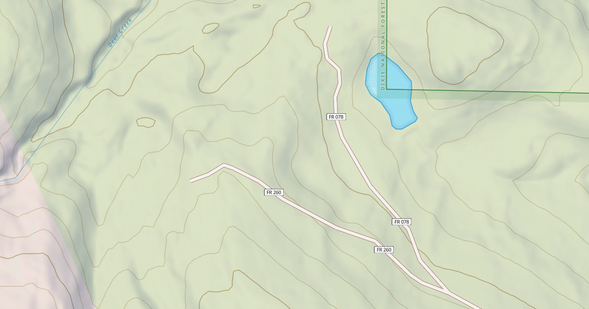 Map preview of LOCAL