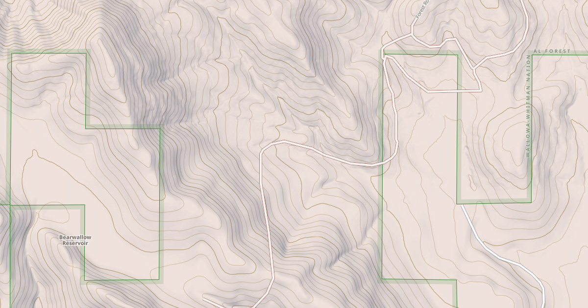 Map preview of USFS National Forest System Roads {6072787E-260E-4816-8CE2-893EA2EB5BDC}