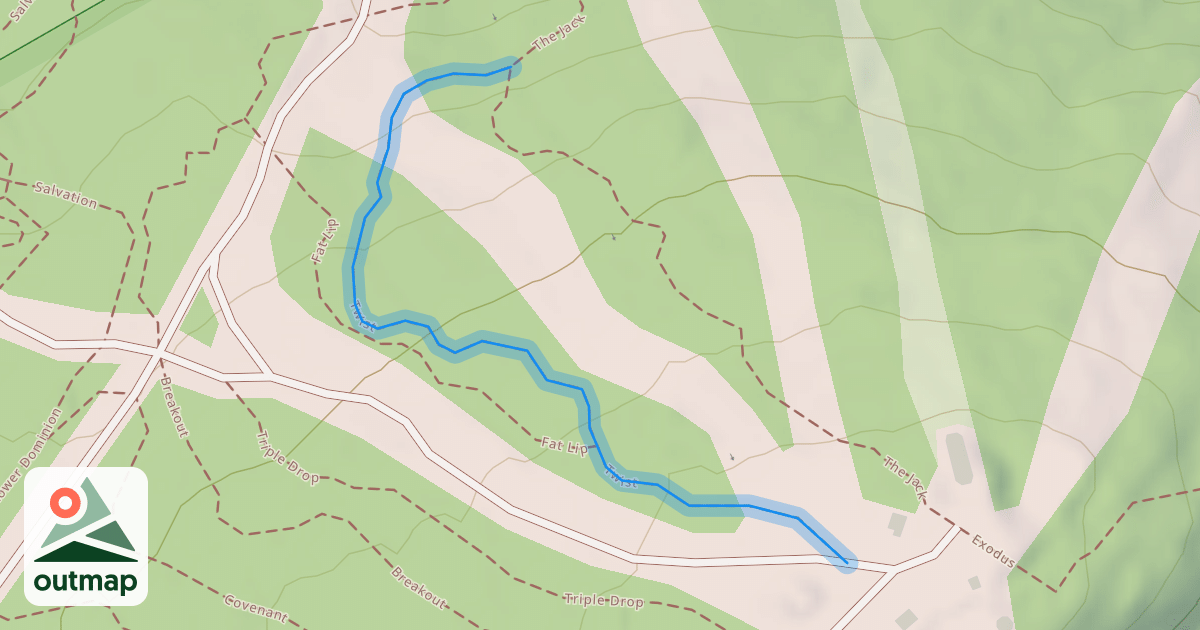 Map of Twist