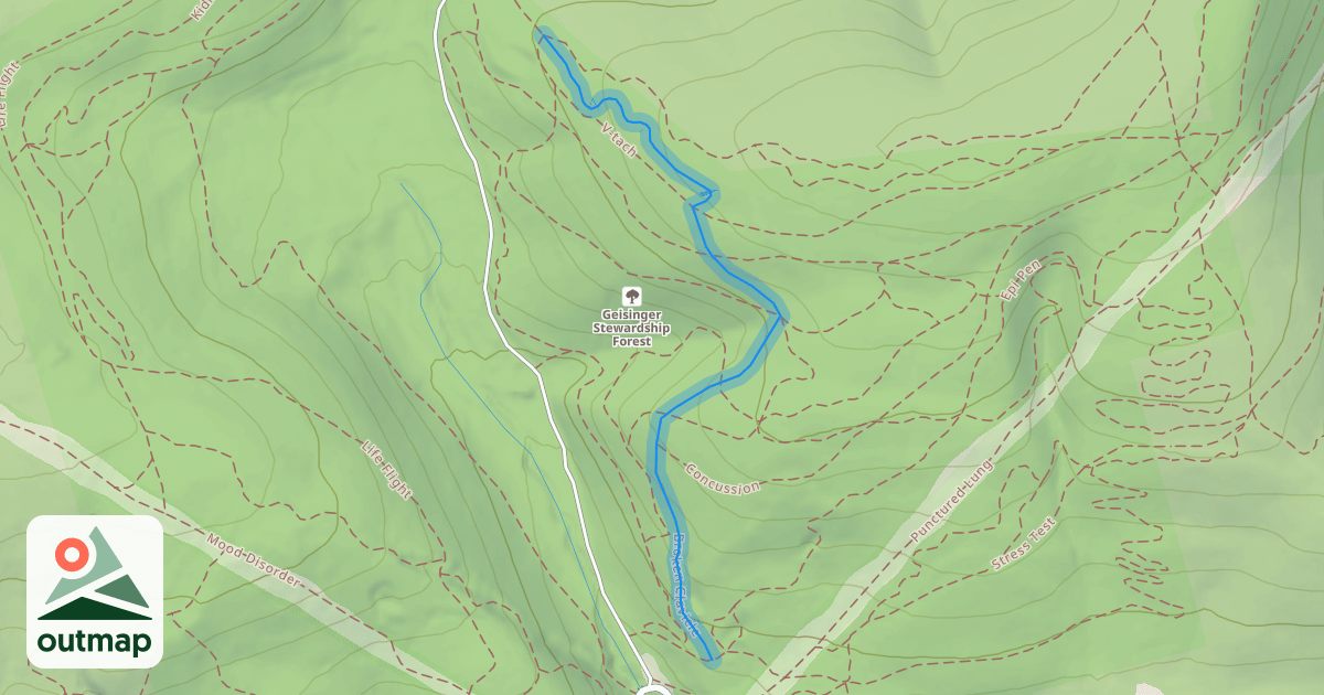 Map of Broken Clavicle