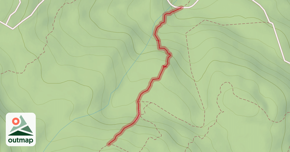 Map of Cupcake
