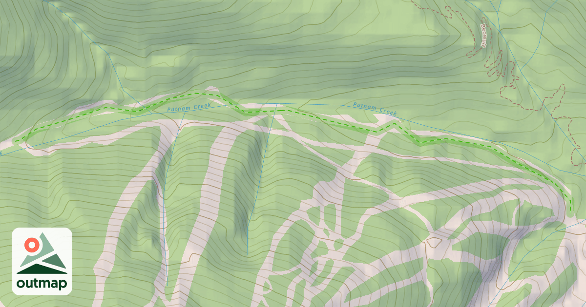 Map of Black Pine Street